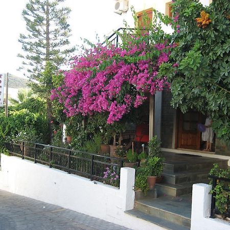 Thalia Hotel Palekastro Bagian luar foto